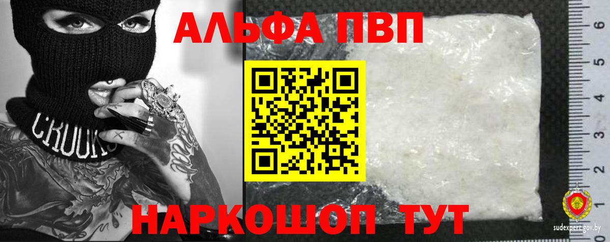 Alfa_PVP СК Кинель