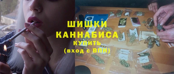 PSILOCYBIN Кулебаки