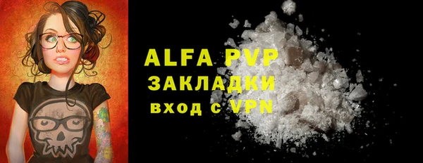 PSILOCYBIN Кулебаки