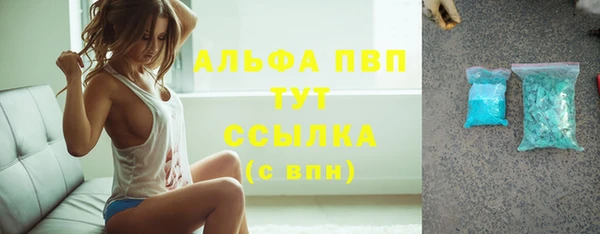 PSILOCYBIN Кулебаки