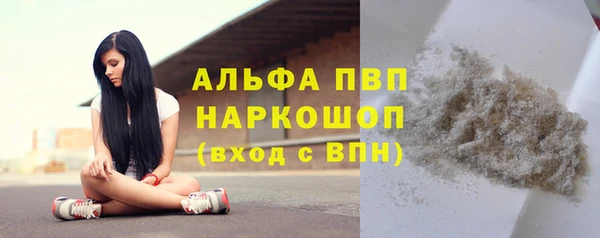 PSILOCYBIN Кулебаки