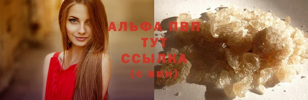 гидра Ладушкин