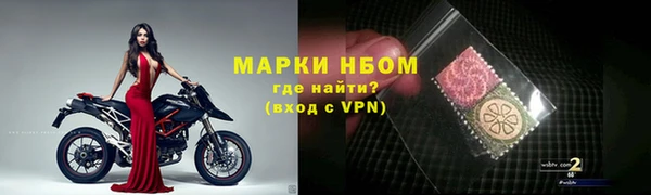 PSILOCYBIN Кулебаки