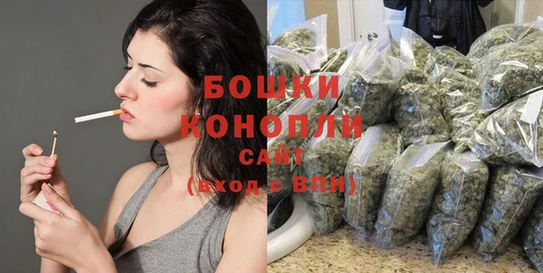 амф Краснослободск