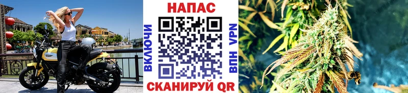 МАРИХУАНА Amnesia  Кинель 