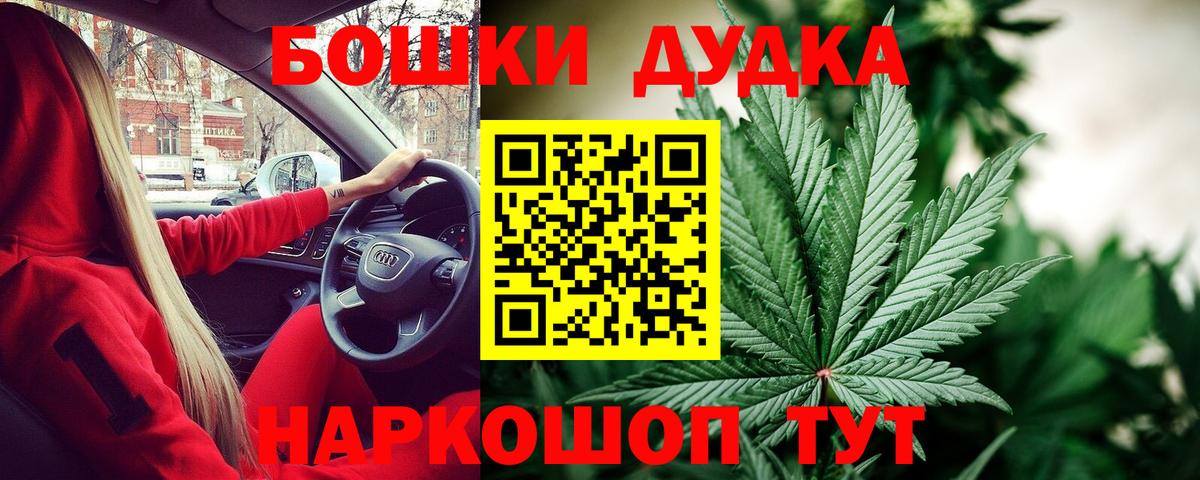 Бошки Шишки семена  Каннабис конопля  Кинель  Конопля MAZAR  Вход с VPN 